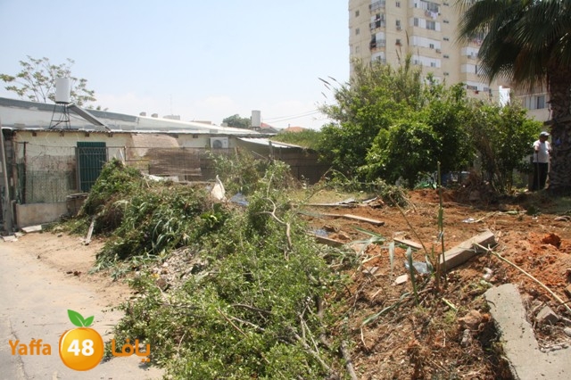 hadmqobtan423zoher (49).JPG